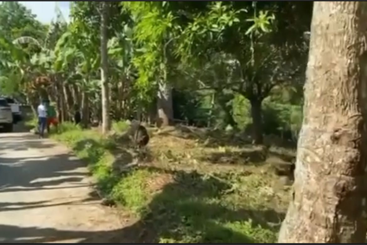 Land for Sale in Pulong Niogan, Mabini, Batangas – photo 5