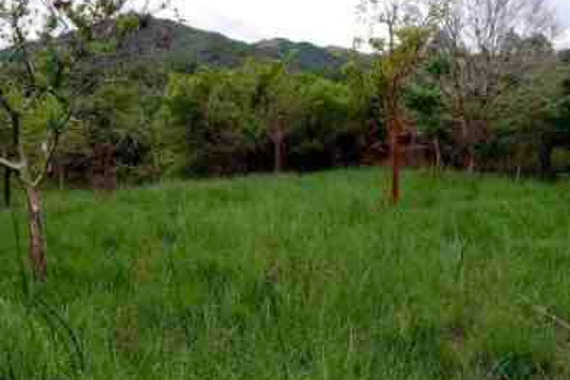 Land for Sale in Pulong Sampalok, Doña Remedios Trinidad, Bulacan
