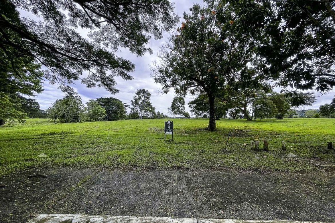 Land for Sale in Pulong Santa Cruz, Santa Rosa, Laguna – photo 5