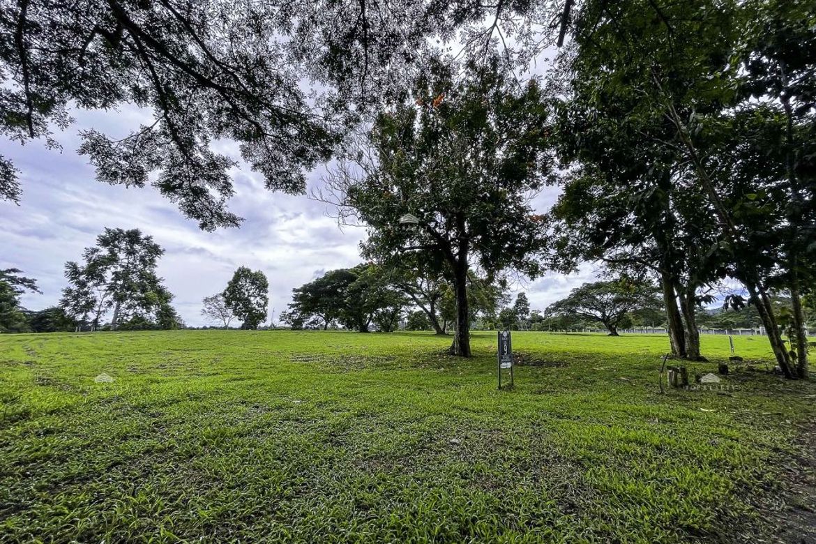 Land for Sale in Pulong Santa Cruz, Santa Rosa, Laguna – photo 7