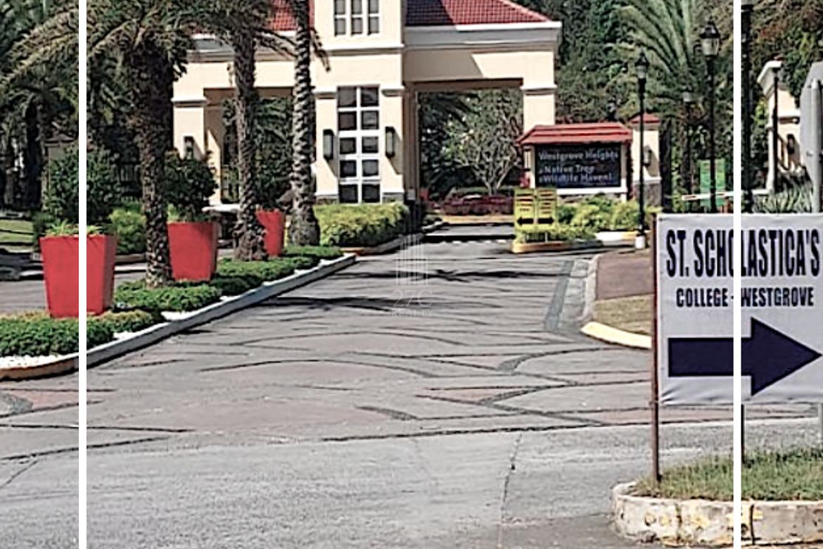 Land for Sale in Pulong Santa Cruz, Santa Rosa, Laguna – photo 6