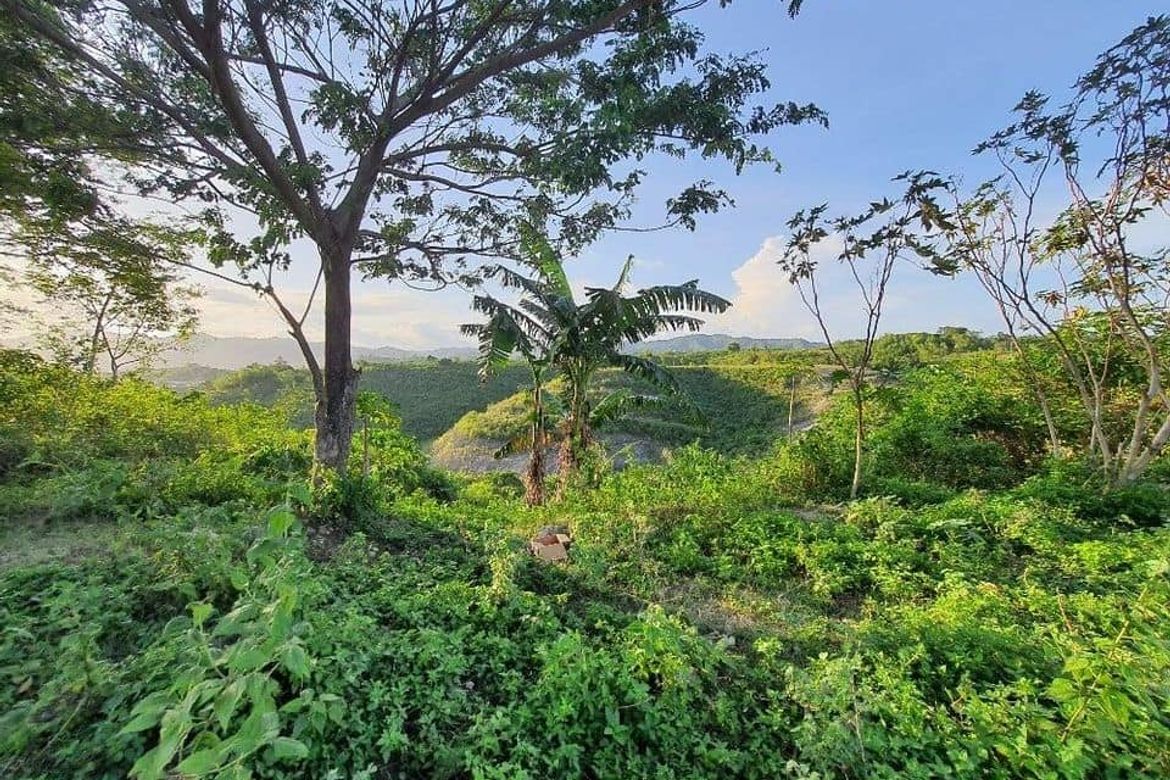Land for Sale in Pulpogan, Consolacion, Cebu