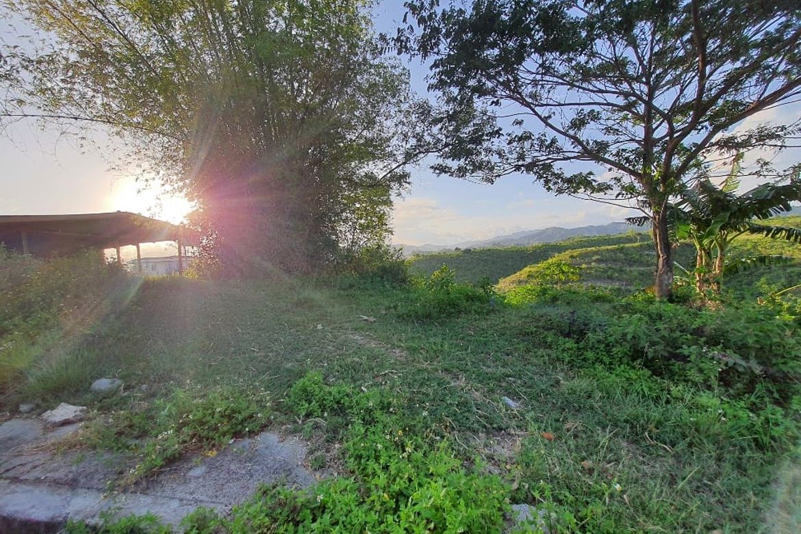 Land for Sale in Pulpogan, Consolacion, Cebu – photo 7