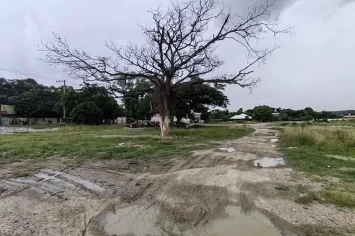 Land for Sale in Pulpogan, Consolacion, Cebu – photo 6