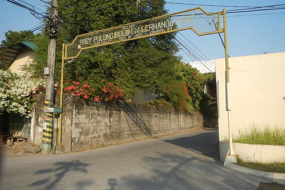 Land for Sale in Pulung Bulu, San Fernando, Pampanga – photo 2