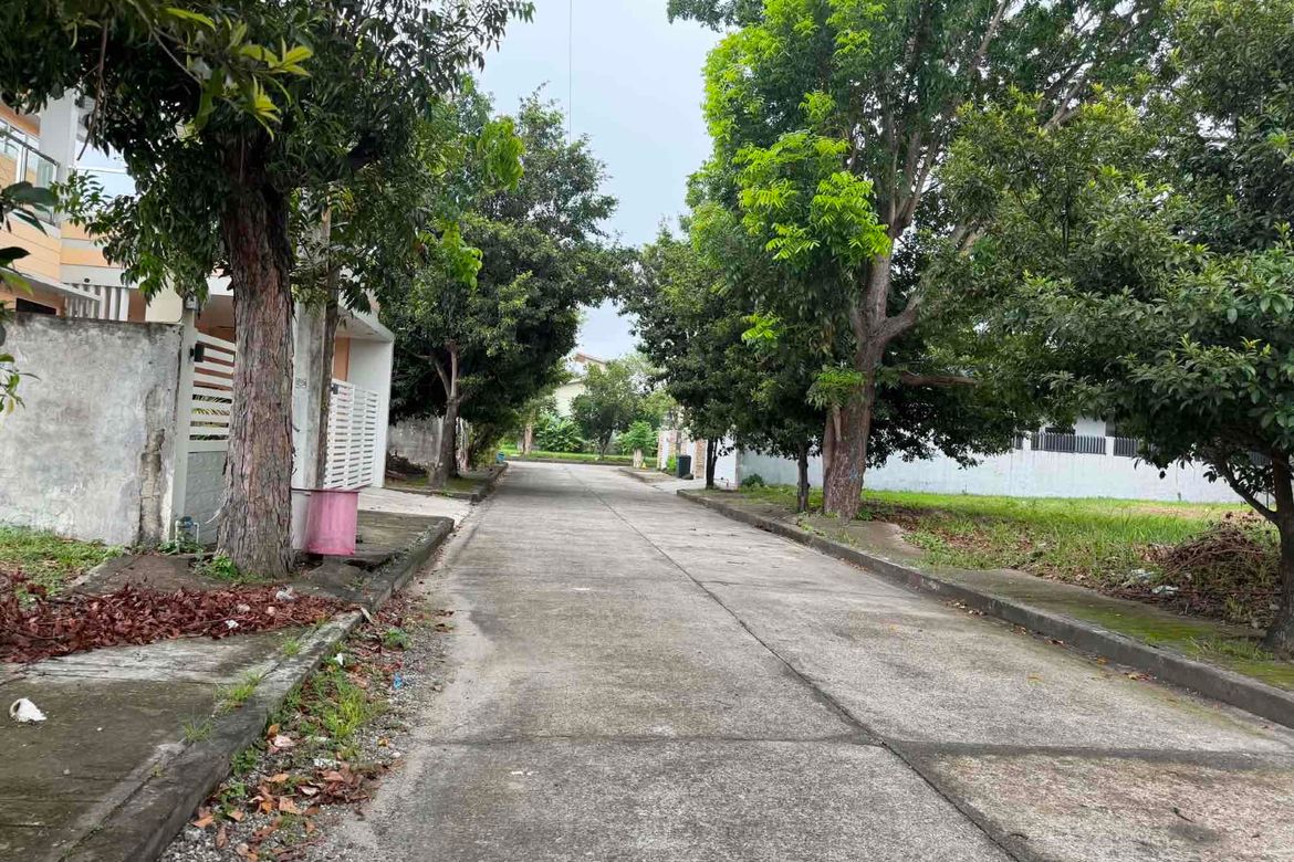 Land for Sale in Pulung Cacutud, Angeles, Pampanga