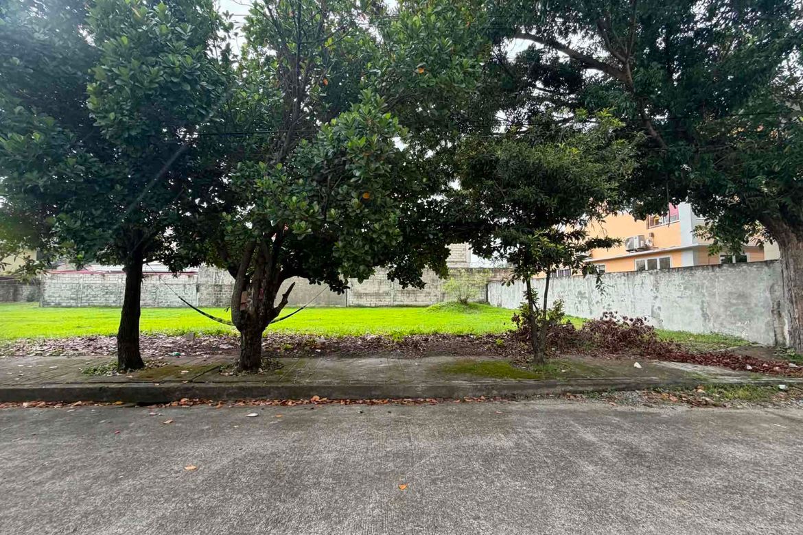 Land for Sale in Pulung Cacutud, Angeles, Pampanga – photo 2