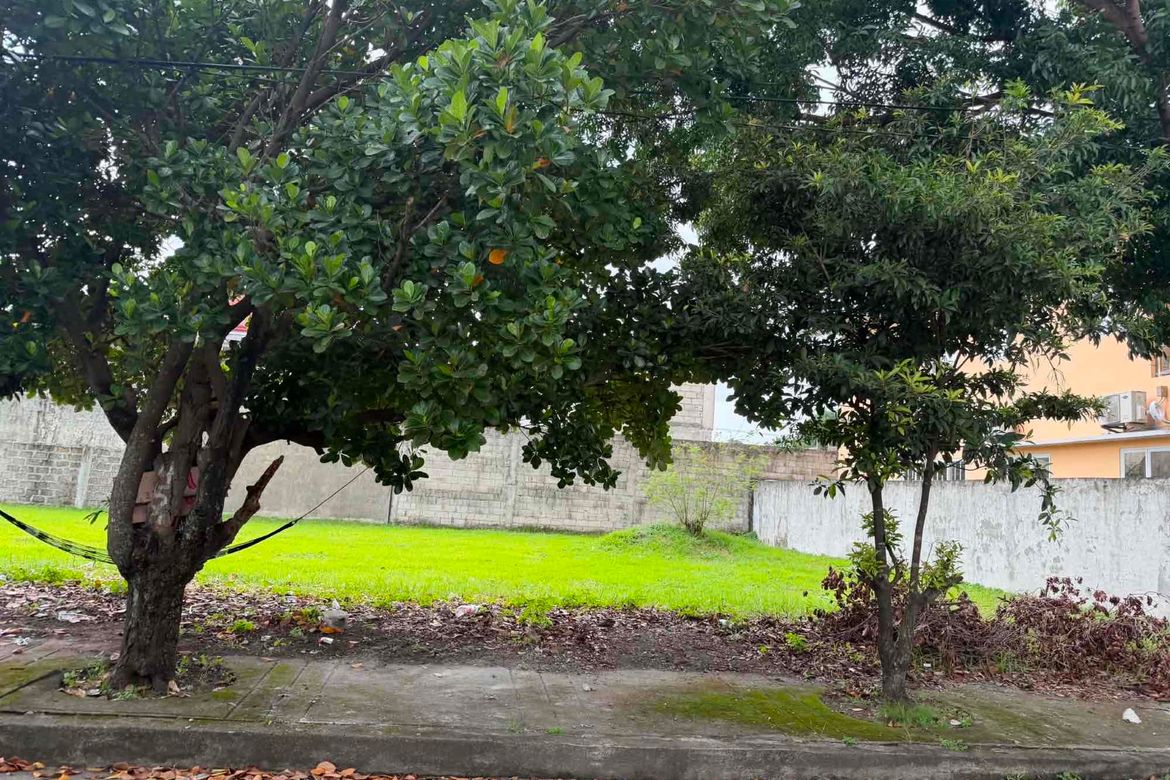 Land for Sale in Pulung Cacutud, Angeles, Pampanga – photo 3