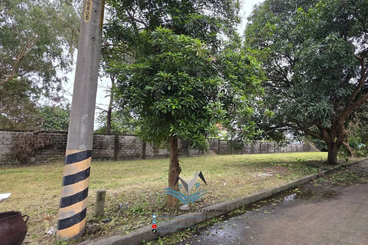 Land for Sale in Pulung Maragul, Angeles, Pampanga – photo 4