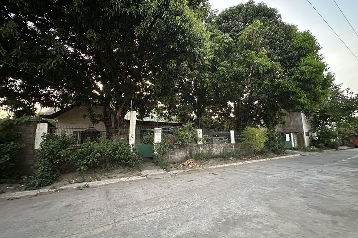 Land for Sale in Pulung Maragul, Angeles, Pampanga – photo 2