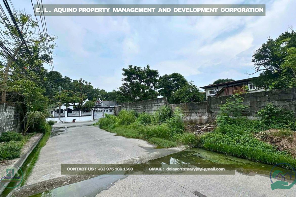 Land for Sale in Pulung Maragul, Angeles, Pampanga – photo 5