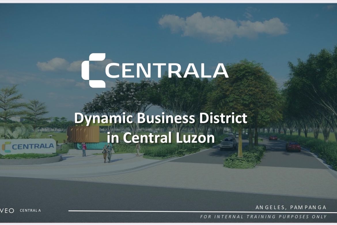 Land for Sale in Pulung Maragul, Angeles, Pampanga – photo 2