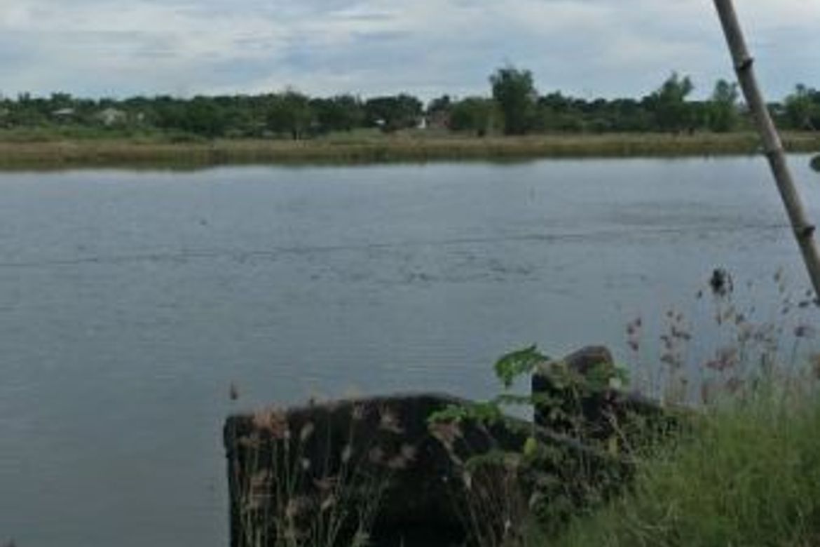 Land for Sale in Pulungmasle, Guagua, Pampanga – photo 5