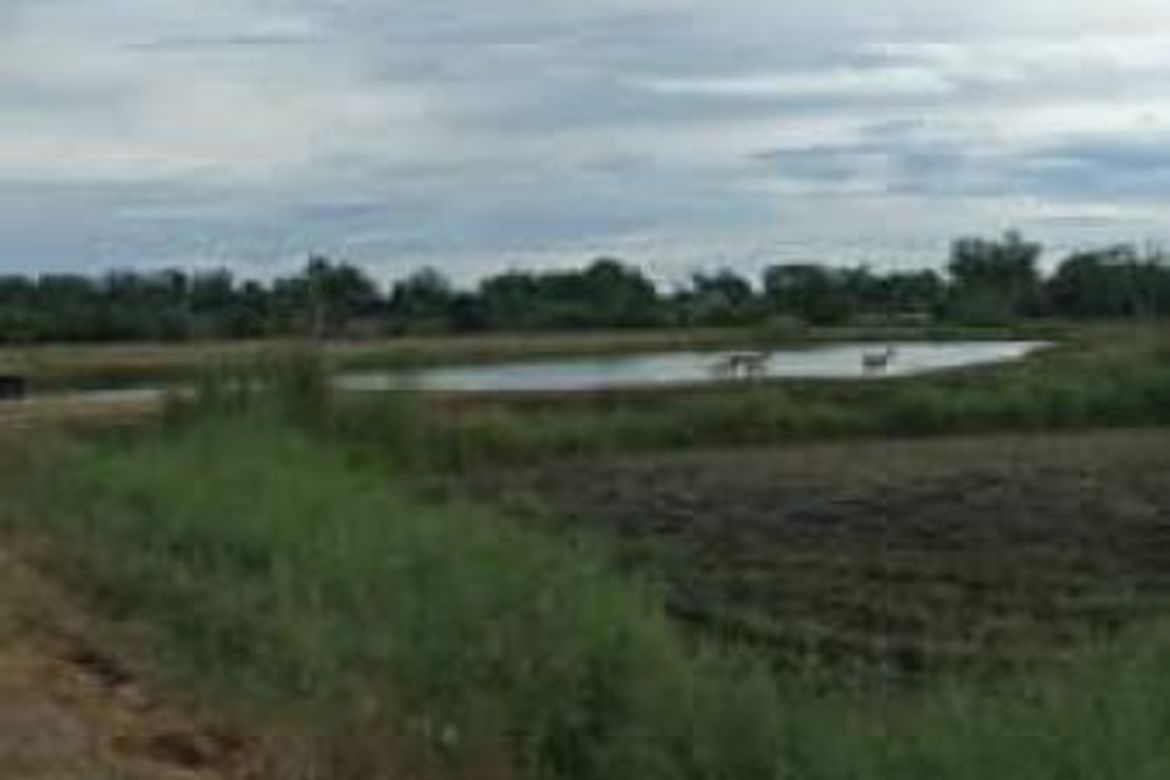 Land for Sale in Pulungmasle, Guagua, Pampanga – photo 7