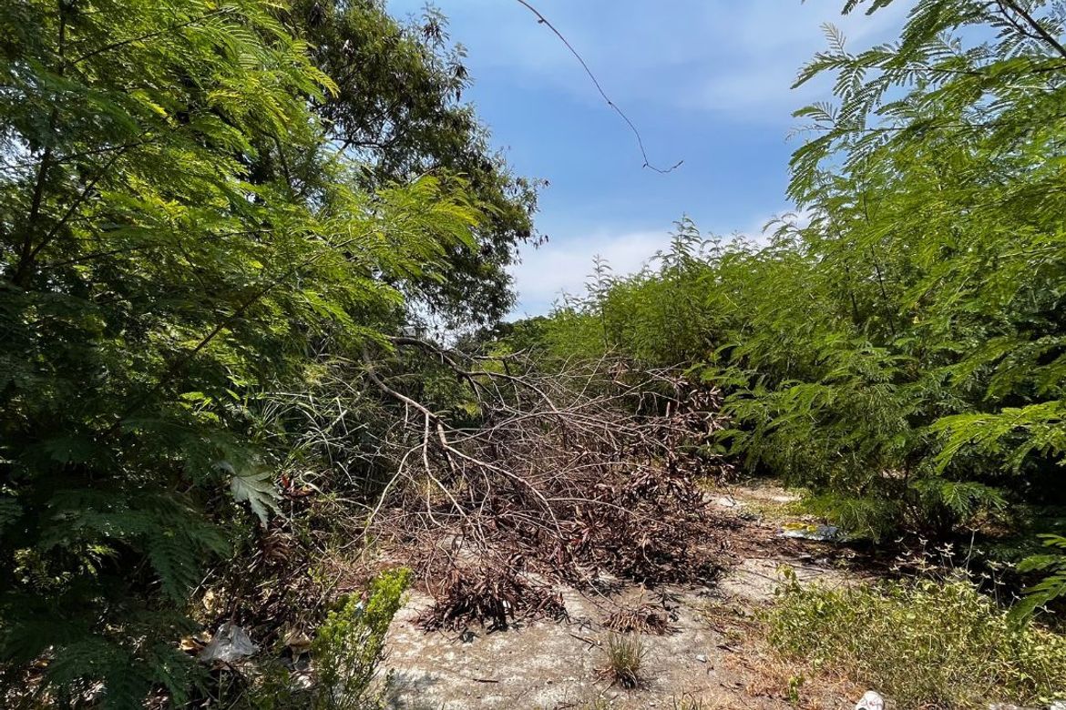 Land for Sale in Pulvorista, Kawit, Cavite – photo 3