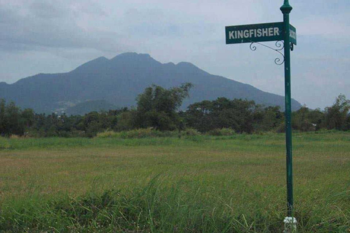Land for Sale in Punta, Calamba, Laguna – photo 3