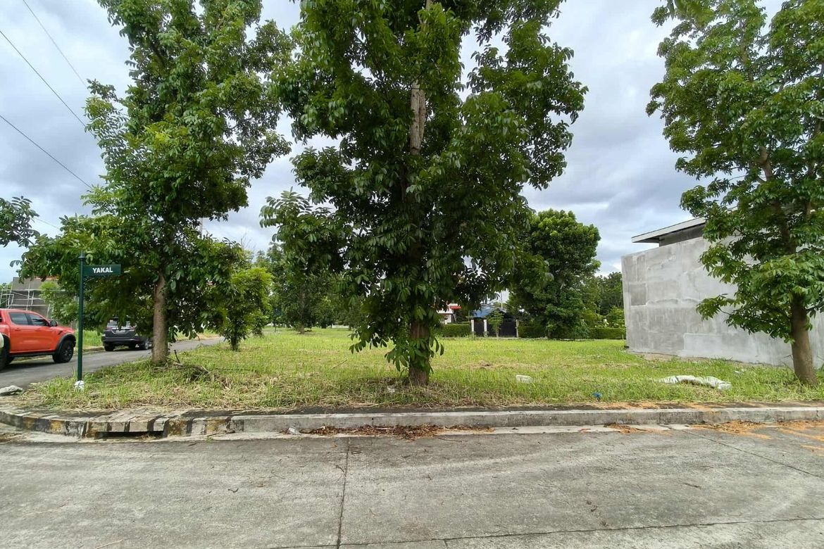 Land for Sale in Punta, Calamba, Laguna