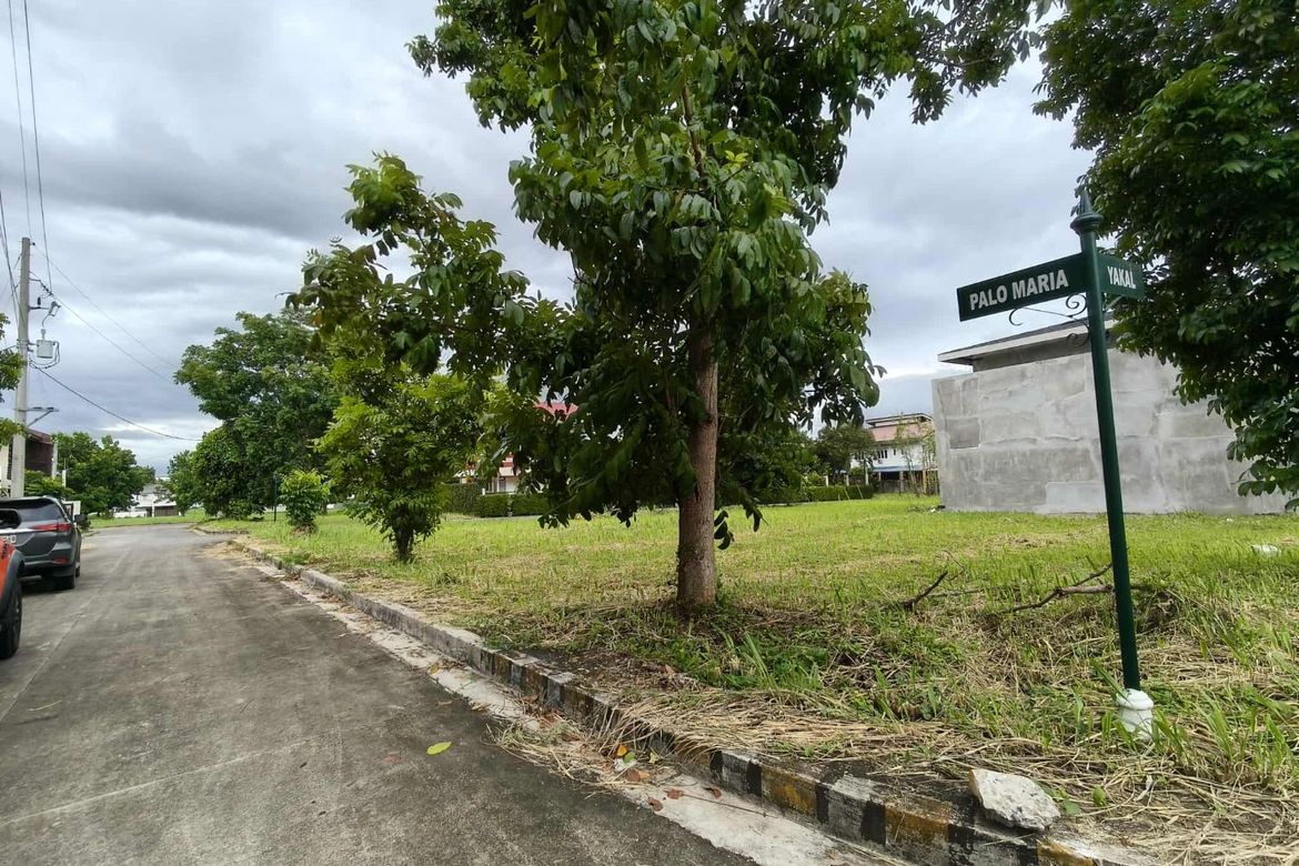 Land for Sale in Punta, Calamba, Laguna – photo 2