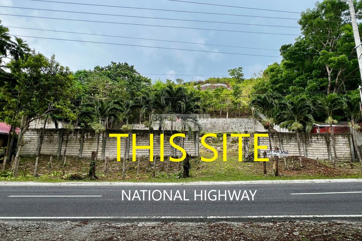Land for Sale in Punta Cruz, Maribojoc, Bohol – photo 2