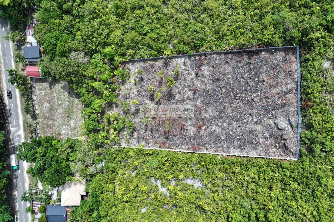 Land for Sale in Punta Cruz, Maribojoc, Bohol – photo 6