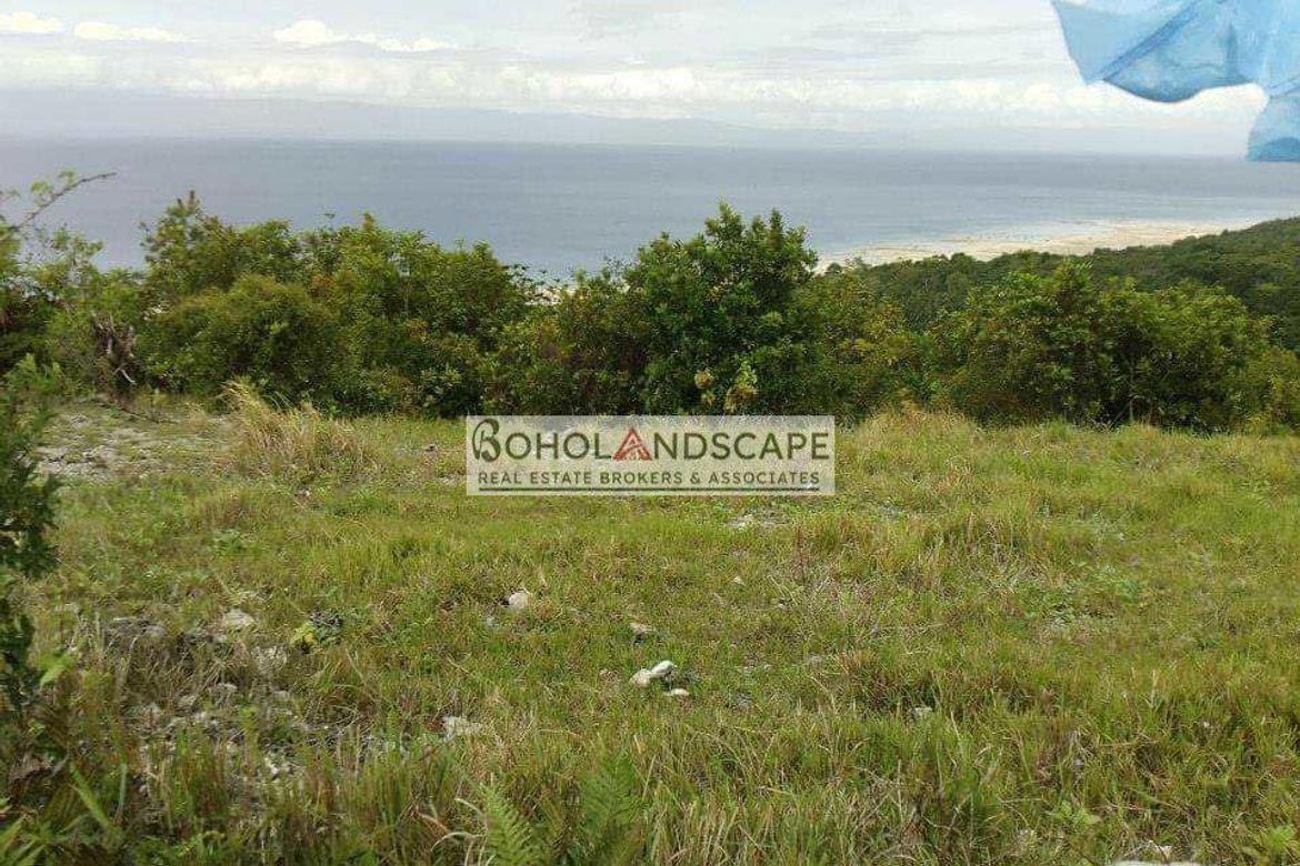 Land for Sale in Punta Cruz, Maribojoc, Bohol