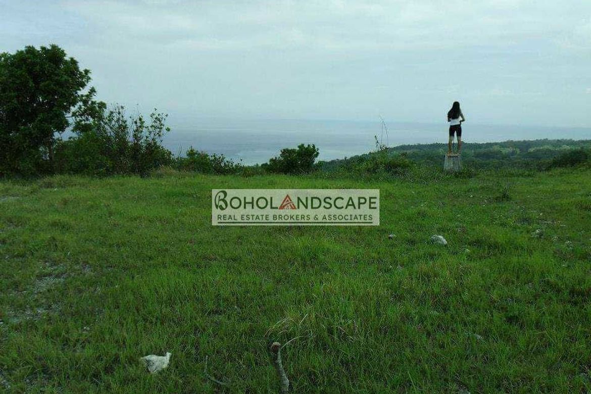 Land for Sale in Punta Cruz, Maribojoc, Bohol – photo 5