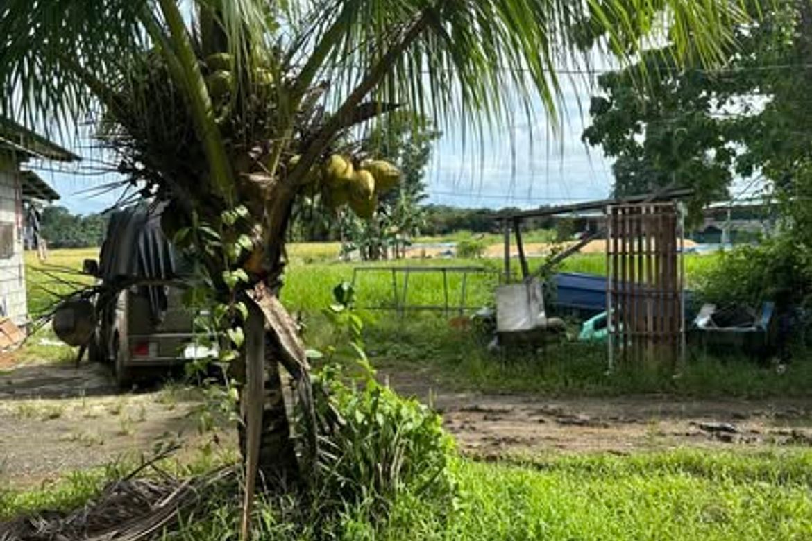 Land for Sale in Punta, Dipolog, Zamboanga del Norte – photo 3