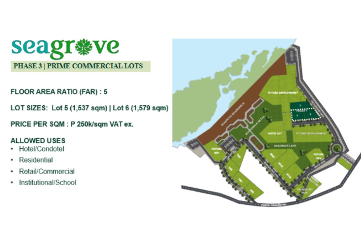Land for Sale in Punta Engaño, Lapu-Lapu, Cebu – photo 7
