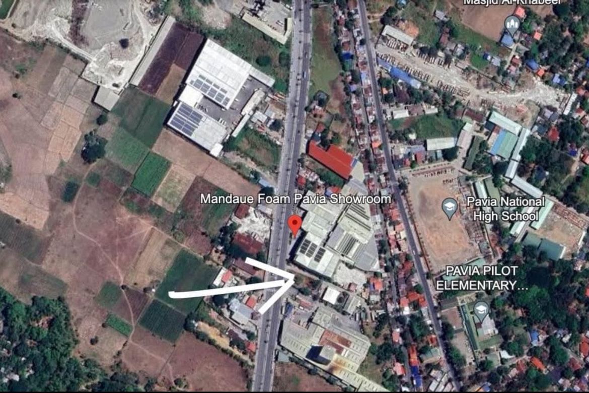 Land for Sale in Purok III, Pavia, Iloilo – photo 4