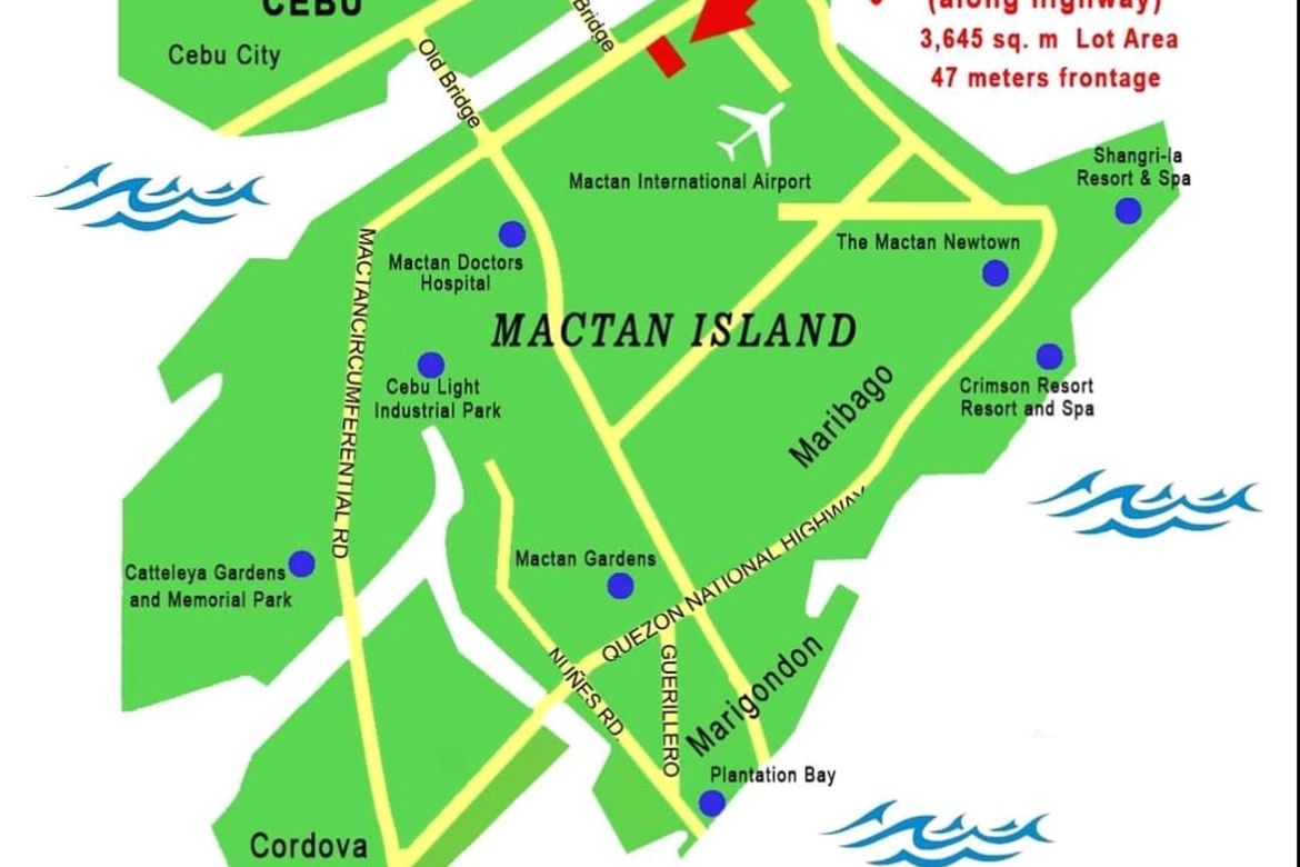 Land for Sale in Pusok, Lapu-Lapu, Cebu – photo 3