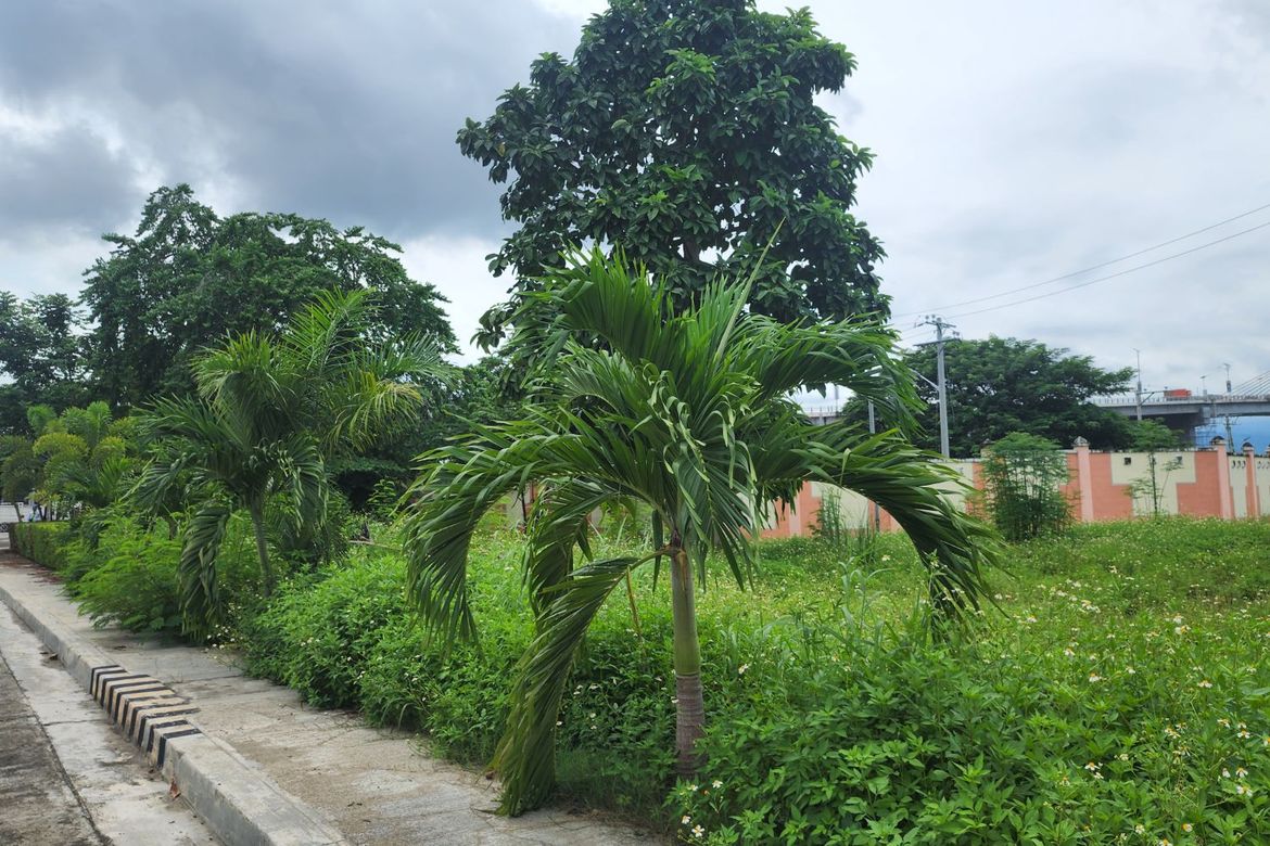 Land for Sale in Pusok, Lapu-Lapu, Cebu – photo 6