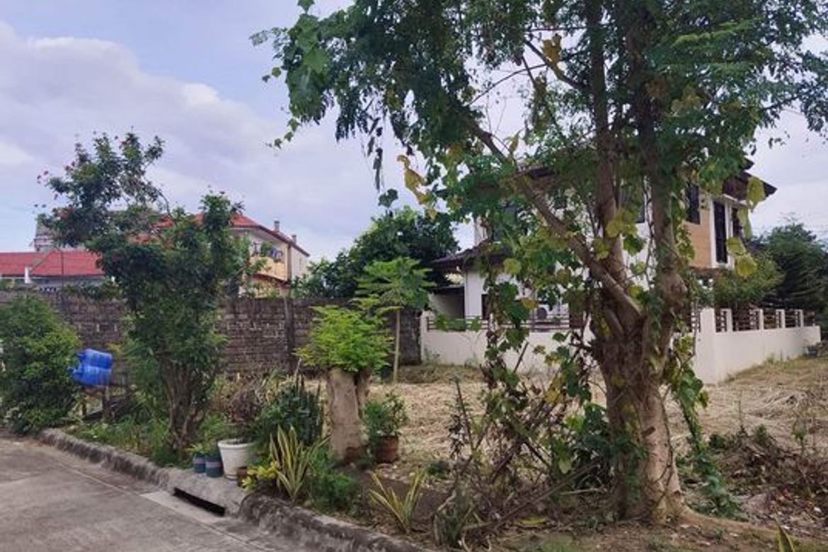 Land for Sale in Pusok, Lapu-Lapu, Cebu – photo 3