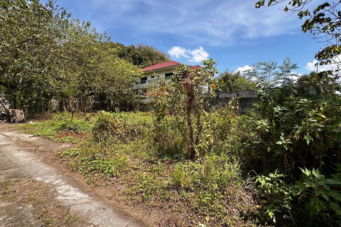 Land for Sale in Putho Tuntungin, Los Baños, Laguna – photo 2