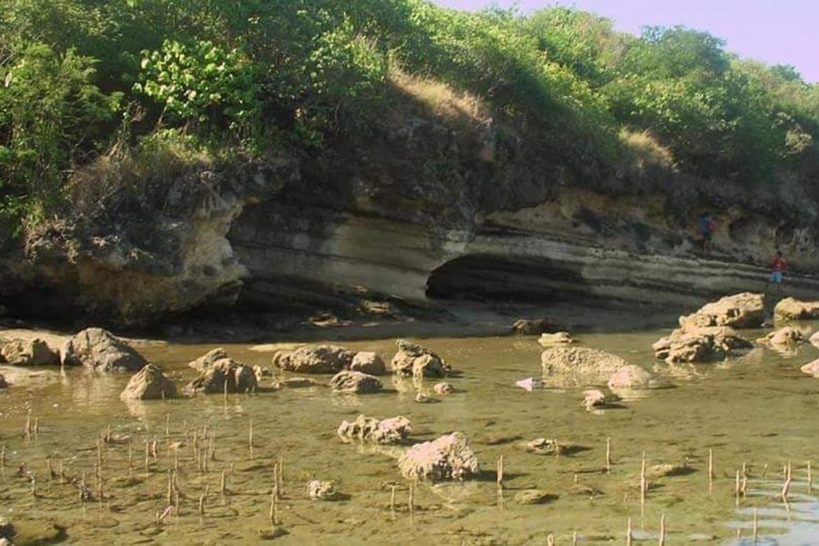 Land for Sale in Puting-Kahoy, Lian, Batangas – photo 2
