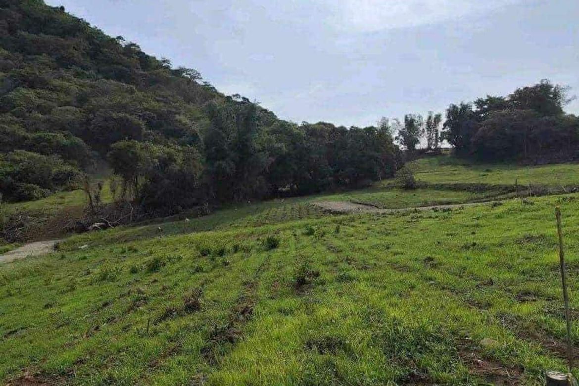 Land for Sale in Puting-Kahoy, Lian, Batangas – photo 4