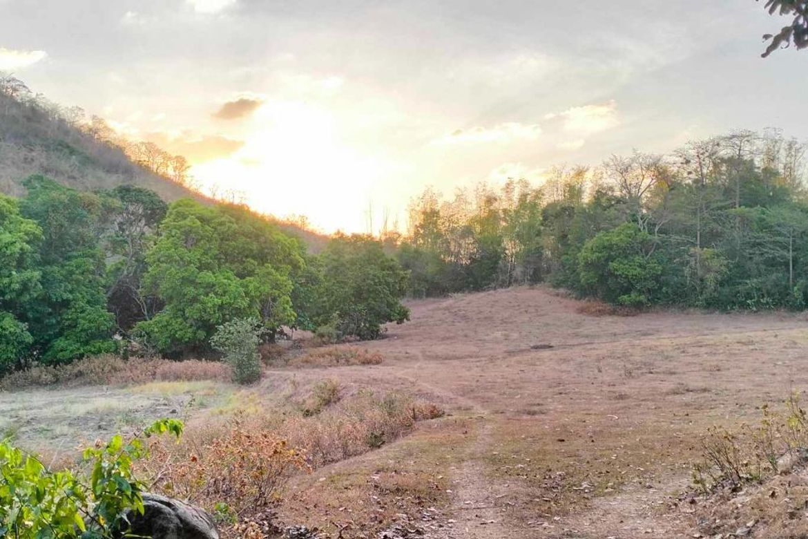 Land for Sale in Puting-Kahoy, Lian, Batangas – photo 6