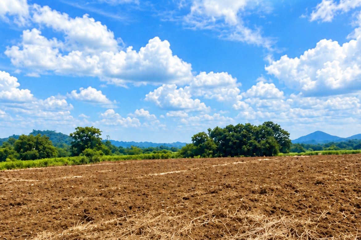 Land for Sale in Puting-Kahoy, Lian, Batangas