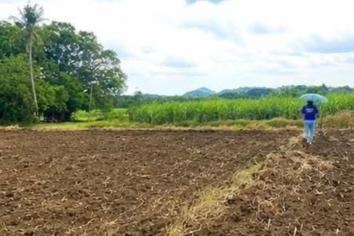 Land for Sale in Puting-Kahoy, Lian, Batangas – photo 4