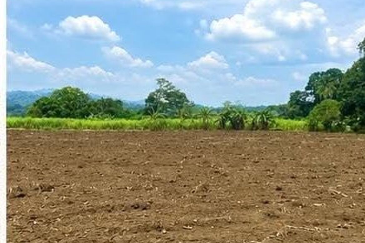 Land for Sale in Puting-Kahoy, Lian, Batangas – photo 5