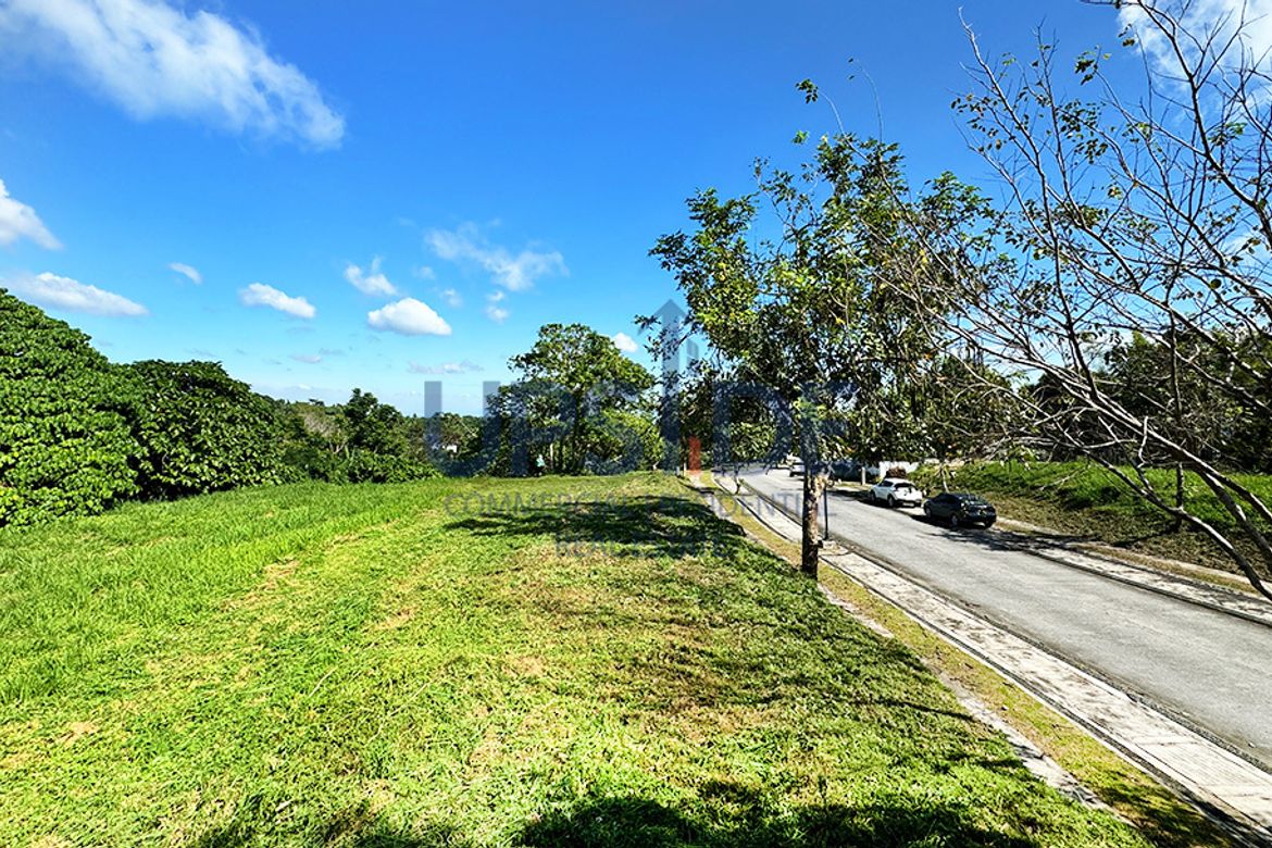 Land for Sale in Puting Kahoy, Silang, Cavite – photo 2