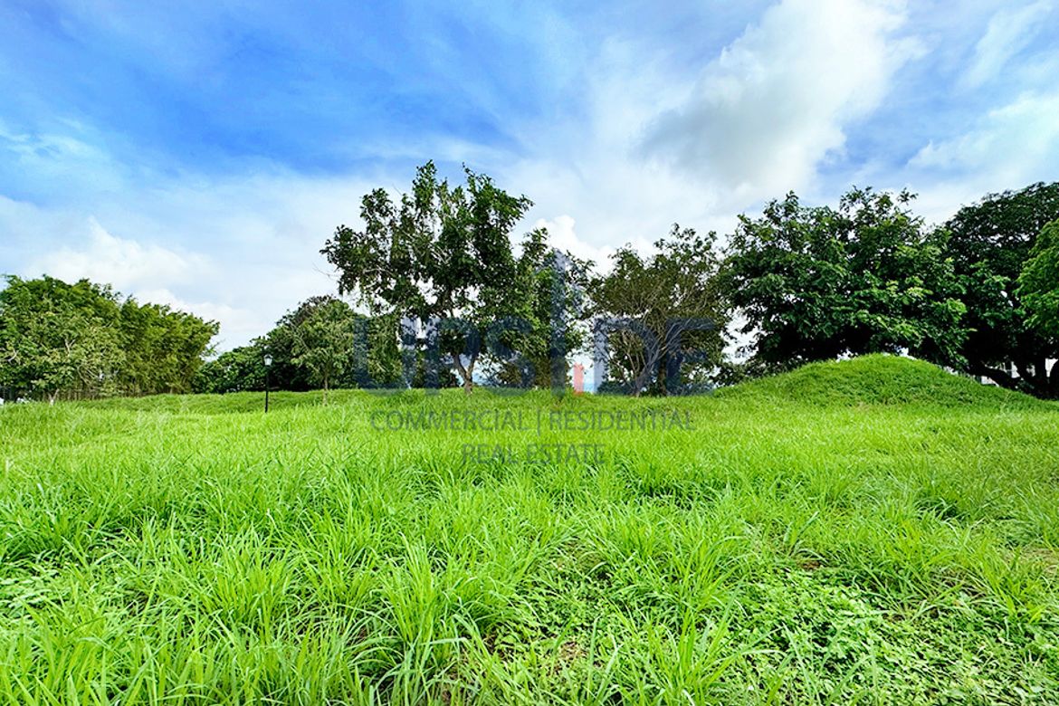 Land for Sale in Puting Kahoy, Silang, Cavite – photo 3