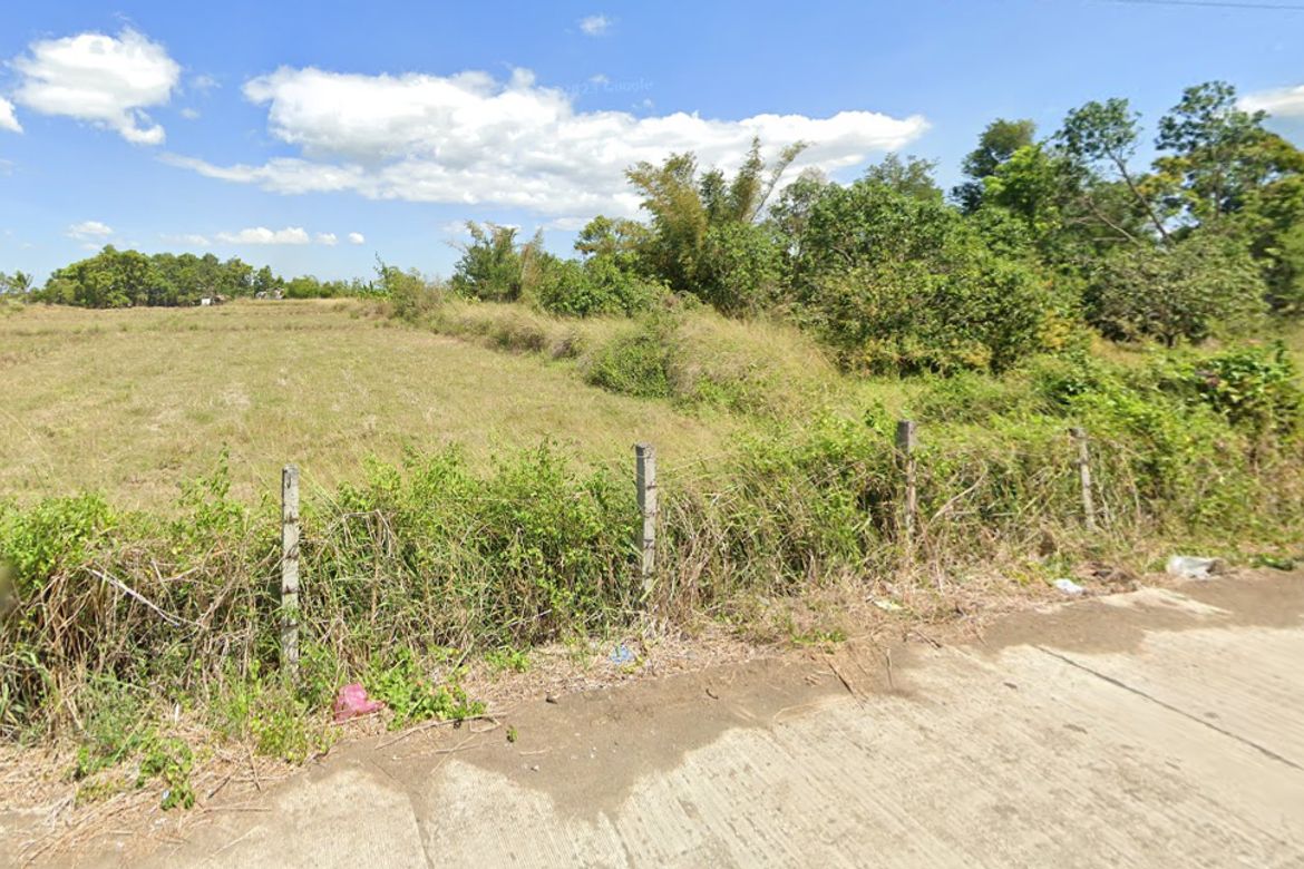 Land for Sale in Puting Tubig, Gapan, Nueva Ecija – photo 3