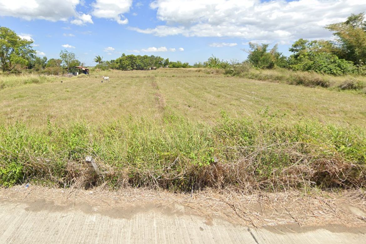 Land for Sale in Puting Tubig, Gapan, Nueva Ecija – photo 3