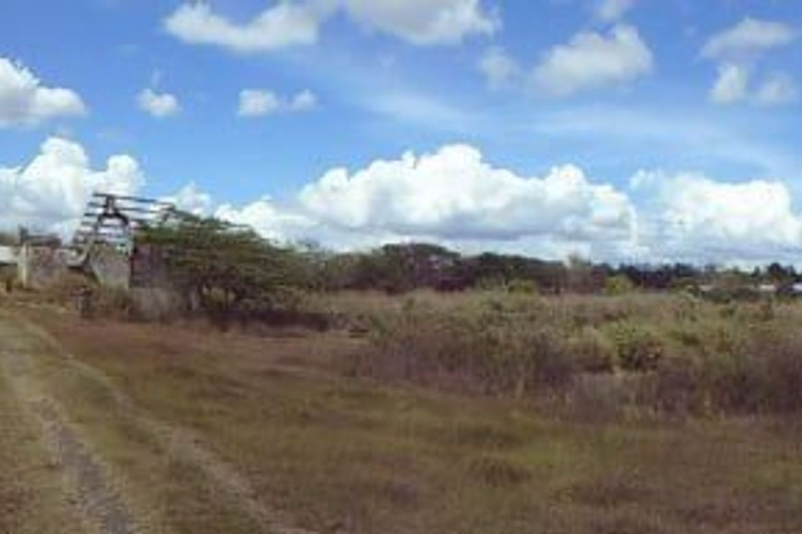 Land for Sale in Puting Tubig, Gapan, Nueva Ecija – photo 3
