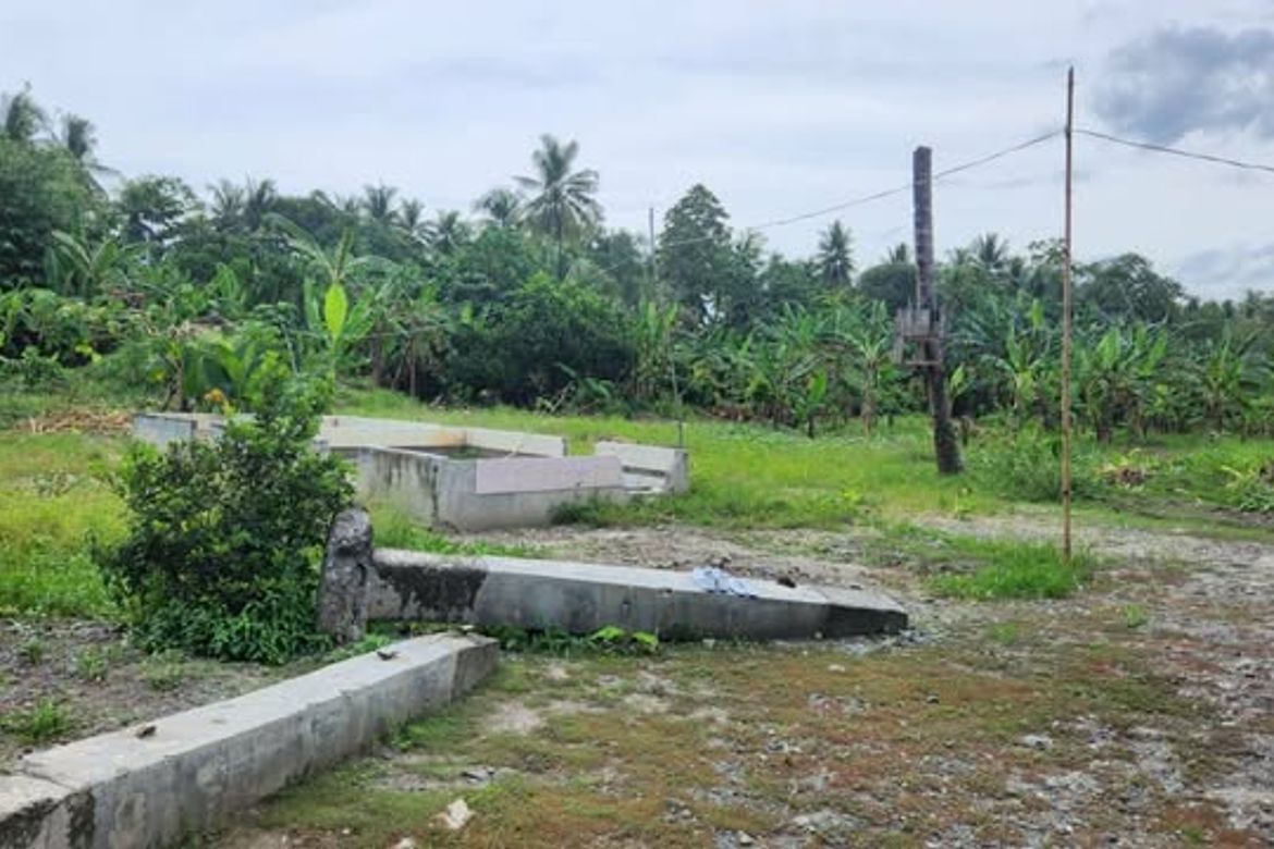 Land for Sale in Quezon, Panabo, Davao del Norte – photo 4