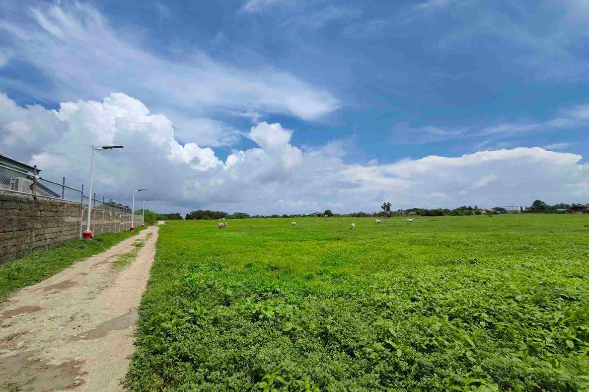 Land for Sale in Quilitisan, Calatagan, Batangas – photo 7