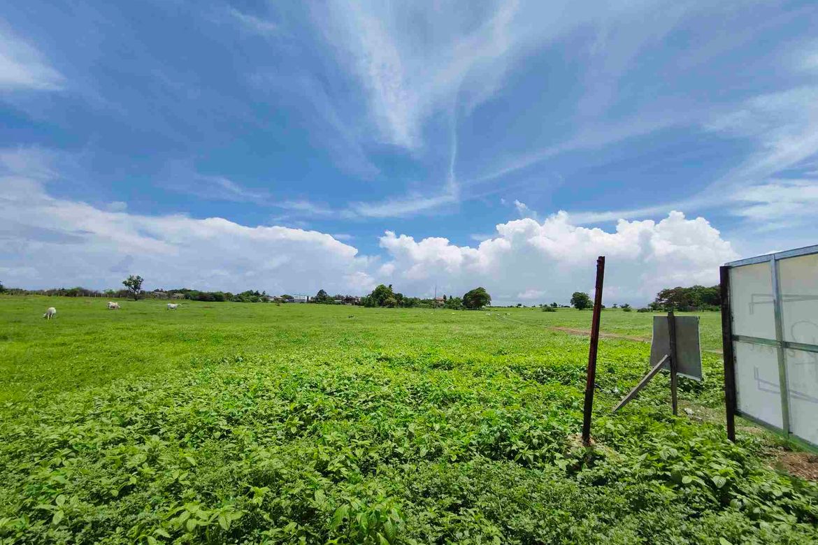 Land for Sale in Quilitisan, Calatagan, Batangas – photo 8