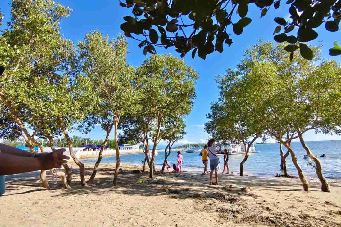 Land for Sale in Quilitisan, Calatagan, Batangas