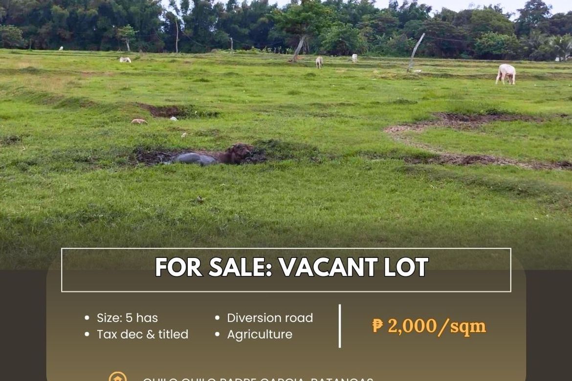 Land for Sale in Quilo-Quilo North, Padre Garcia, Batangas