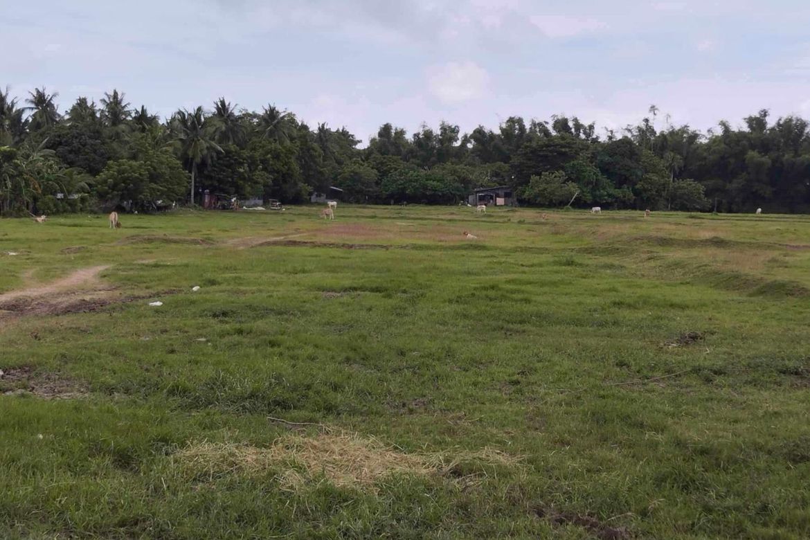 Land for Sale in Quilo-Quilo North, Padre Garcia, Batangas – photo 2